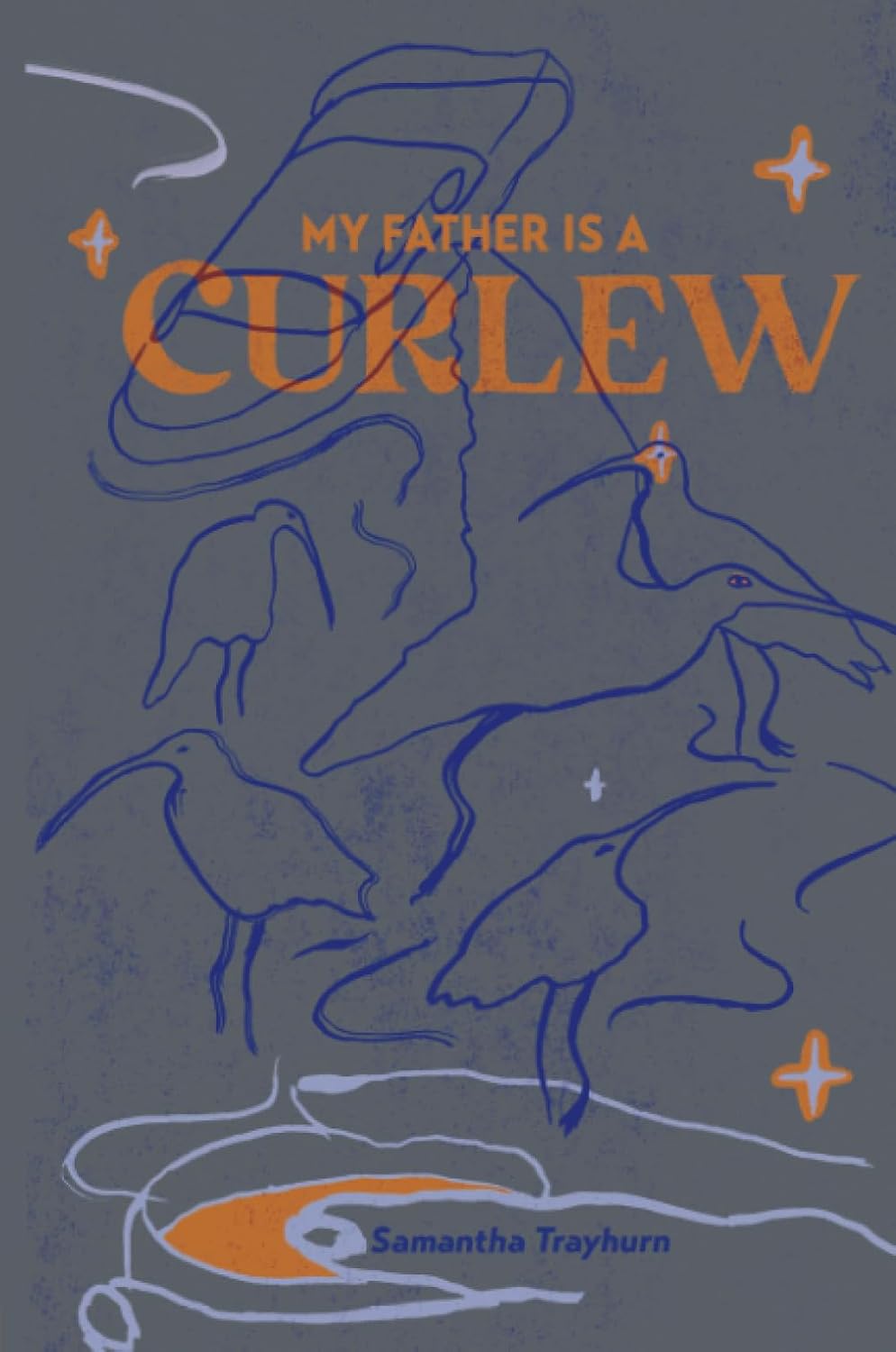 My Father is a Curlew - Novel