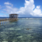 ISLAND GLIDE SKATE TOUR