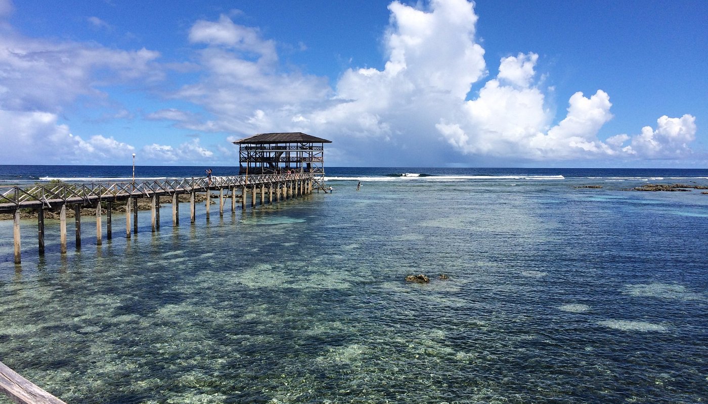 ISLAND GLIDE SKATE TOUR